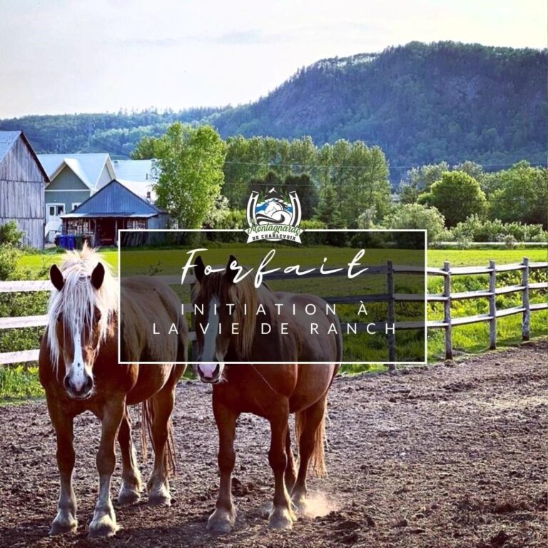 Vacances dans un ranch | la vraie vie d'un cow-boy