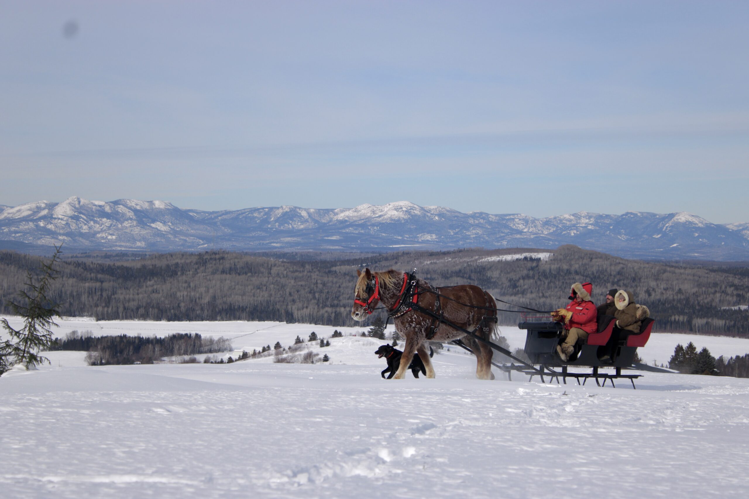 image00004[1]